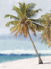 AS157 - Tropical Palm - 12x16