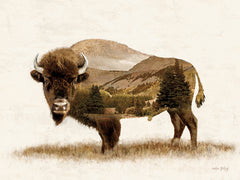 AS188 - Landscape Bison Fusion - 16x12