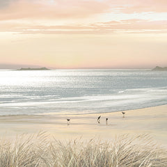 AS406 - Golden Day - 12x12