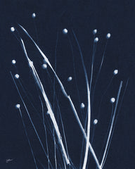 NOR331 - Indigo Firefly - 12x16