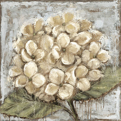 SGD208 - Majestic Hydrangea - 12x12