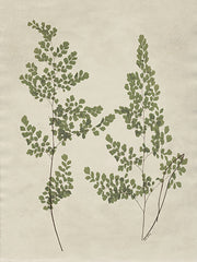 AS383 - Botanical Leaves 2 - 12x16