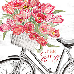 CIN3546 - Hello Spring Bicycle    - 12x12
