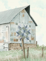 CIN4259 - Pickel's Barn Quilt - 12x16