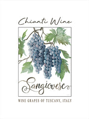 CIN4463 - Chianti Wine - 12x16