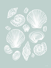 FEN1221 - Tossed Sea Shells - 12x16