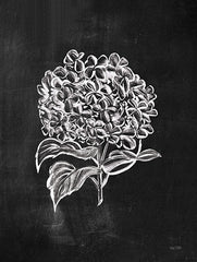 FEN686 - Chalkboard Wildflower III - 12x16