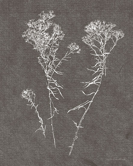 Kamdon Kreations KAM220 - KAM220 - Humble Beauty 1 - 12x16 botanical print, white line flowers, dark background, minimalist nature, herbarium style, contemporary botanical art from Penny Lane