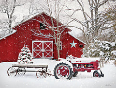 LD3051 - Cozy Country Christmas - 16x12