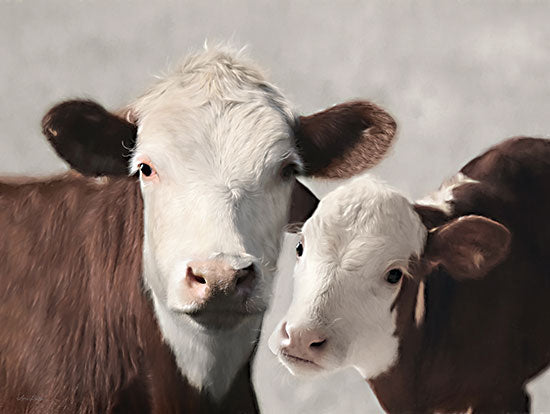 Lori Deiter LD3083 - LD3083 - Mommy & Me   - 16x12 cow and calf, farm animals, close-up, Hereford cattle, white and brown fur, rural life, soft light, animal companionship, pastoral setting, portrait from Penny Lane