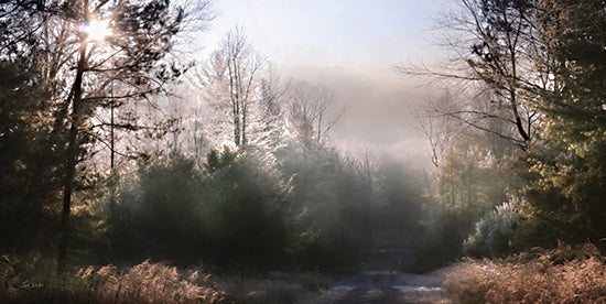 Lori Deiter LD3595 - LD3595 - Clearing Fog    - 18x9 Photography, Landscape, Road, Trees, Brush, Fog, Sky, Sun, Clearing Fog from Penny Lane