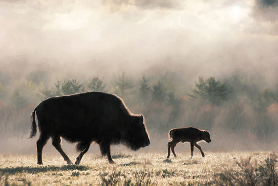 Lori Deiter LD3698 - LD3698 - Morning Walk - 18x12 Photography, Animals, Buffalo, Calf, Trees, Fog, Morning Sunlight, Morning Walk from Penny Lane