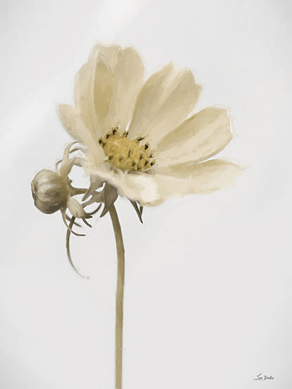 Lori Deiter LD3732 - LD3732 - Simple Beauty - 12x16 white daisy flower, macro flower art, minimal floral composition, delicate petals, bud and bloom, botanical painting, white background, soft lighting, fine art floral from Penny Lane