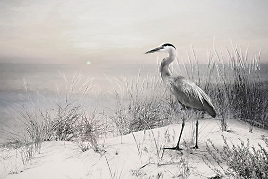 Lori Deiter LD3798 - LD3798 - Silent Shore - 18x12 great blue heron, sand dunes, ocean sunrise, coastal wildlife, peaceful beach, bird on shore, nature tranquility, painterly style from Penny Lane