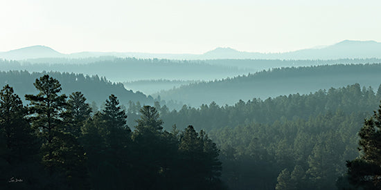 Lori Deiter LD3871 - LD3871 - The Distant Call - 18x9 pine forest, misty mountains, layers of trees, wilderness, natural beauty, tranquil morning, forest landscape, green scenery from Penny Lane