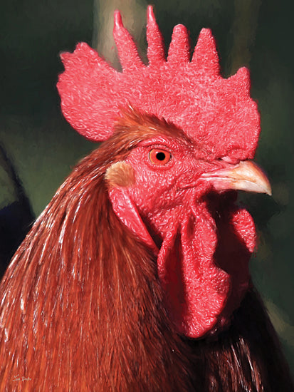 Lori Deiter LD3966 - LD3966 - Rusty - 12x16 rooster portrait, bright comb, vibrant colors, detailed feathers, poultry close-up, farm animal, rustic charm from Penny Lane