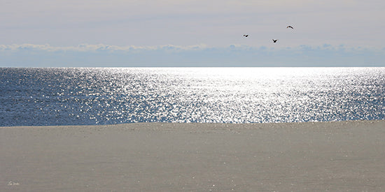 Lori Deiter LD3991 - LD3991 - Sunlit Sparkles on the Sea - 18x9 ocean, horizon, sunlight on water, beach scene, seascape, blue water, birds flying, calm, serenity, sky reflection, coastal, nature from Penny Lane