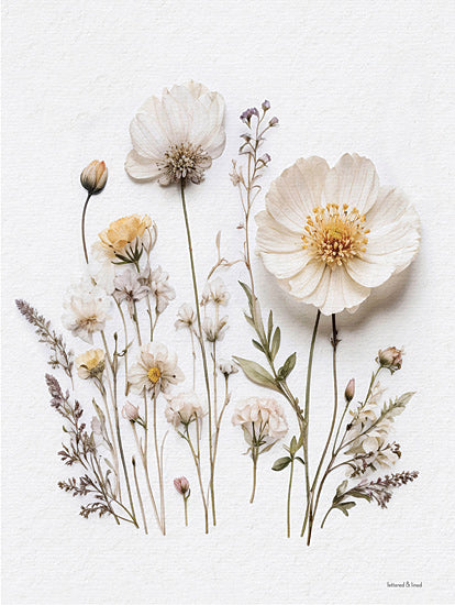 lettered & lined LET1194 - LET1194 - Pressed Flowers I - 12x16 wildflowers, white blossoms, floral arrangement, pressed flowers, pastel flowers, natural decor, botanical art, rustic style from Penny Lane