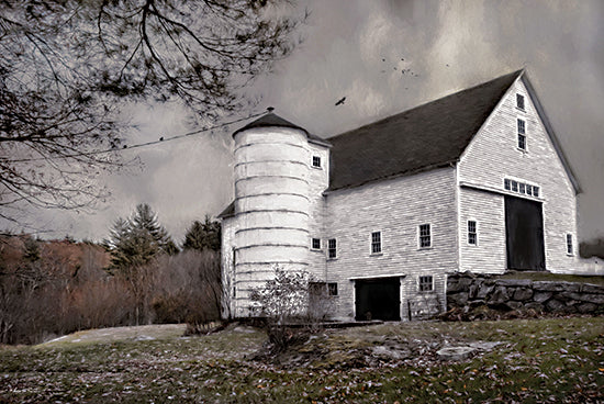 Robin-Lee Vieira RLV809 - RLV809 - The Old White Barn - 18x12 white barn, rural architecture, silo, gloomy sky, birds flying, moody lighting, overcast, leafless trees, countryside, overgrown grass from Penny Lane