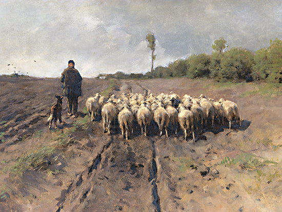 Stellar Design Studio SDS1547 - SDS1547 - The Shepherd King    - 16x12 Shepherd and sheep herd, dirt road, pastoral farming scene, border collie, rural life painting, overcast sky from Penny Lane