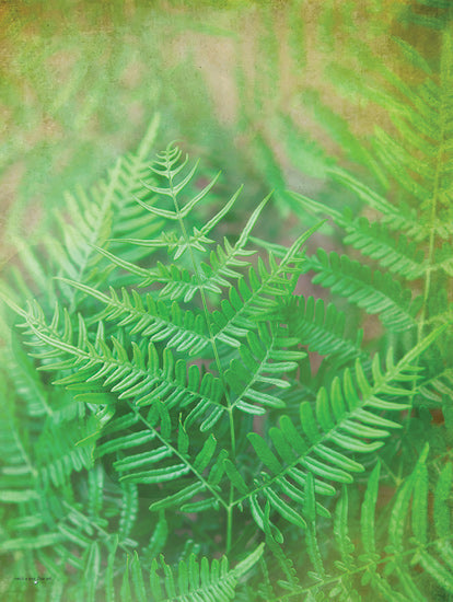 Catch A Star Fine Art STAR172 - STAR172 - Dreamy Fern I - 12x16 Fern leaves, layered green foliage, light-filled background, forest undergrowth, botanical detail, lush natural texture from Penny Lane