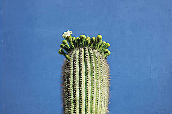 Catch A Star Fine Art STAR180 - STAR180 - Saguaro Standing Tall II - 18x12 saguaro cactus blooming, white flowers, desert flora, cactus top bloom, blue sky background, vertical growth, summer cactus flower, southwestern landscape from Penny Lane