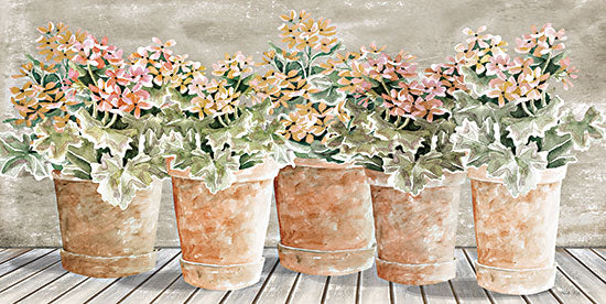 Cindy Jacobs CIN3226 - CIN3226 - All in a Row I  - 18x9 Still Life, Flowers, Terra Cotta Pots, Blooms, Potted Plants from Penny Lane