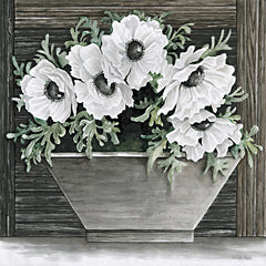 CIN3689 - Poppies Planter - 12x12