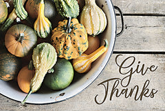 LD2979 - Give Thanks - 18x12