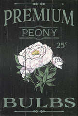 SAW103 - Peony Blubs - 12x18