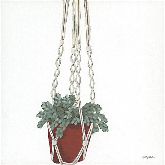 Ashley Justice AJ155 - AJ155 - Hanging House Plant - 12x12 House Plant, Macrame, Plant, Green Leaves from Penny Lane