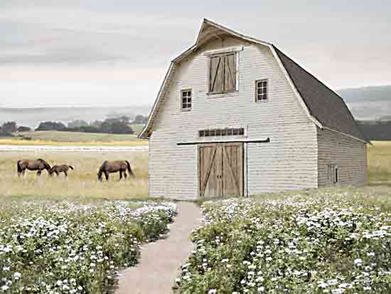 Amber Sterling AS168 - AS168 - Flower Field Pathway - 16x12 Barn, White Barn, Farm, Horses, Grazing Horses, Landscape, Wildflowers, White Wildflowers, Path from Penny Lane