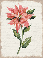 CIN3264LIC - Poinsettia Botanical II - 0