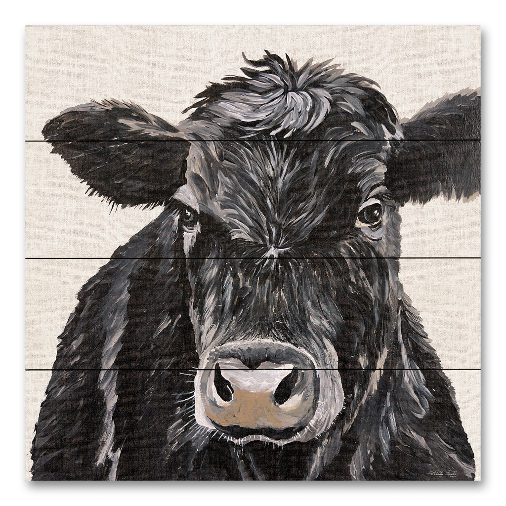 CIN4068 - Angus Cow I - 12x12