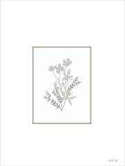 CIN4269 - Botanical Silhouette II - 12x16