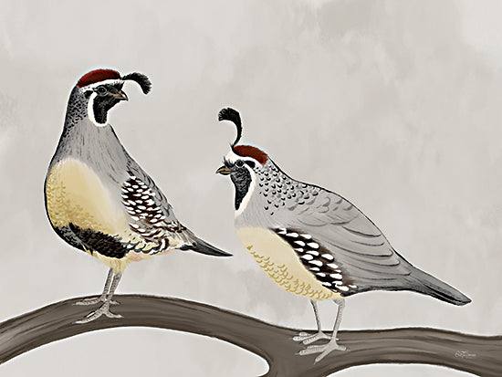 Cat Thurman Designs CTD154 - CTD154 - Quail Pair - 16x12 Birds, Quail, Two Quails, Tree Branch, Quail Pair from Penny Lane