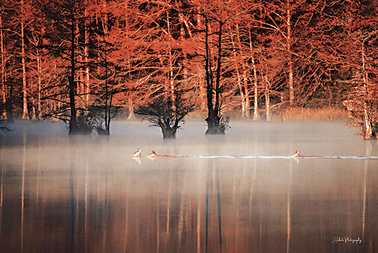 Dakota Diener DAK218 - DAK218 - Time to Cross - 18x12 Photography, Animals, Deer, Wildlife, Lake, Trees, Fall, Red Leaves, Time to Cross from Penny Lane