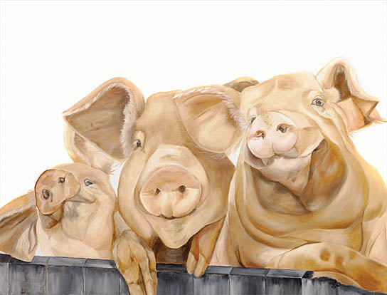 Diane Fifer DF153 - DF153 - Three Pigs - 16x12 Still Life, Pigs, Farm Animals, Protrait from Penny Lane