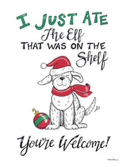 DS2225LIC - Ate the Elf on the Shelf - 0