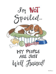 DS2308 - I'm Not Spoiled - 12x16