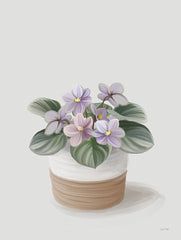 FEN1046 - African Violets - 12x16