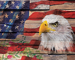 JGS598 - Waving American Flag with Eagle - 16x12