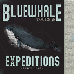 JGS604 - Bluewhale Tours & Expeditions - 12x12