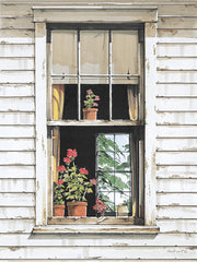 JR425 - Window Geraniums - 12x16