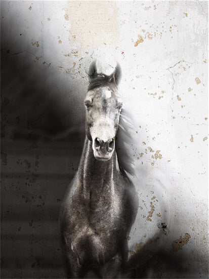 Kari Brooks KARI172 - KARI172 - Fade Away - 12x16 Horse, Brown Horse, Portrait, Abstract, Fade Away from Penny Lane