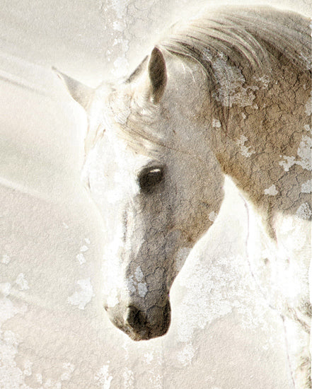 Kari Brooks KARI175 - KARI175 - Mottled - 12x16 Horse, White Horse, Sideview, Abstract, Watercolor from Penny Lane