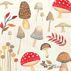 KD169 - Mushrooms and Fall Leaves - 12x12