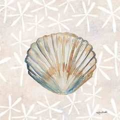 KD177 - Seashell - 12x12