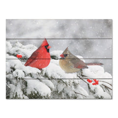 LD3136 - Cardinals in Snow - 16x12