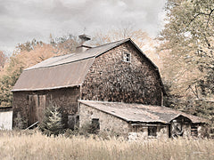 LD3483 - Autumn Barn - 16x12